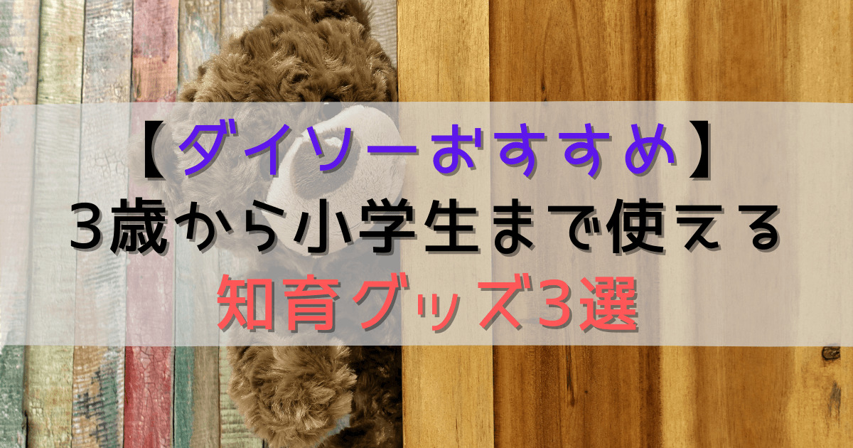 【ダイソー知育グッズ3選】プチブロック、都道府県かるた